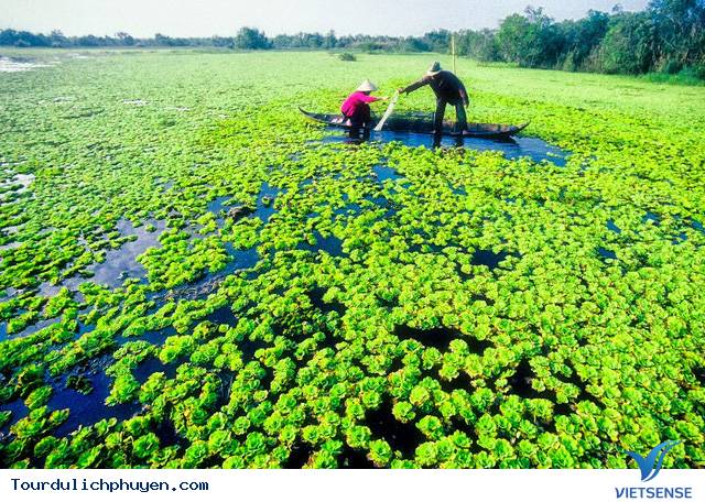 Phú Yên Là Một Trong 8 Điểm Đến Lý Tưởng Để hành trình Một Mình Ở Việt Nam - Ảnh 8