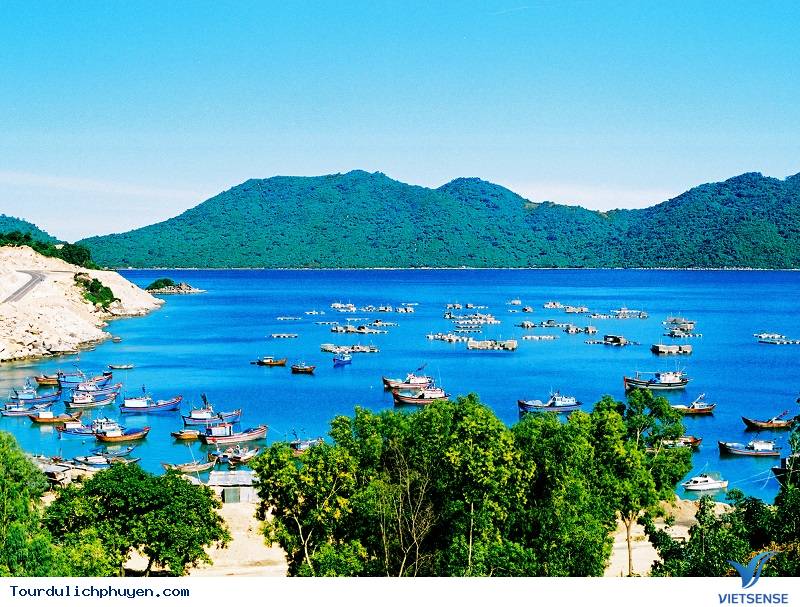 Vài nét về Vũng Rô- Phú Yên - Ảnh 2 Vài nét về Vũng Rô- Phú Yên - Ảnh 2