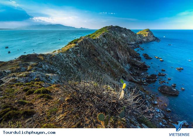 Quy Nhơn - Thiên Đường Biển Đảo Dành Cho Ai Muốn Tận Hưởng Mùa Hè - Ảnh 4 Quy Nhơn - Thiên Đường Biển Đảo Dành Cho Ai Muốn Tận Hưởng Mùa Hè - Ảnh 4