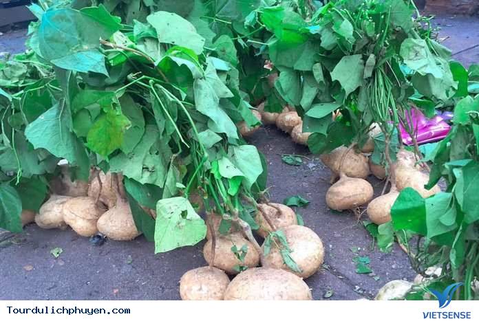 Sắn nước Phú Yên– hương vị của quê hương - Ảnh 2