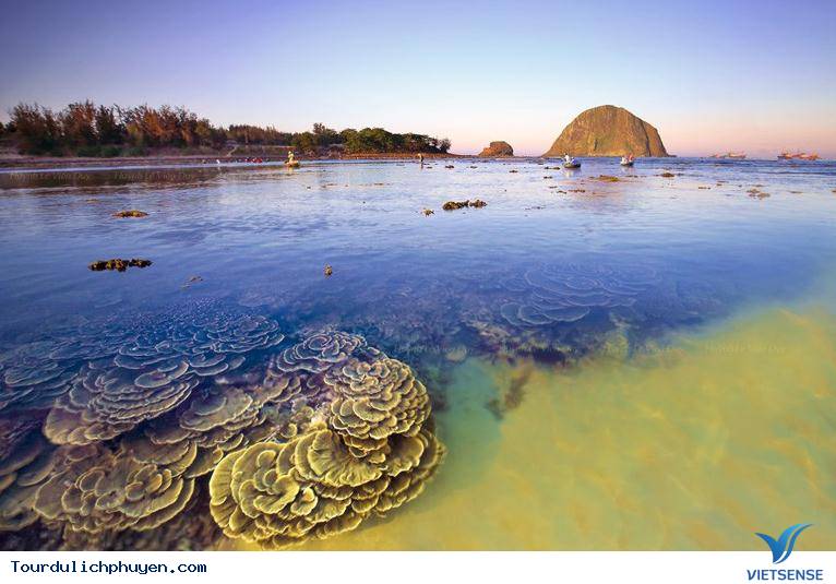 Thế nào là một công ty lữ hành uy tín, khi tham gia Hành Trình khám phá
Phú Yên, 2018. - Ảnh 3 Thế nào là một công ty lữ hành uy tín, khi tham gia Hành Trình khám phá
Phú Yên, 2018. - Ảnh 3