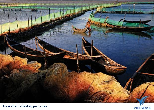 Thời điểm nào hành trình Đầm Ô Loan là hợp lý nhất?