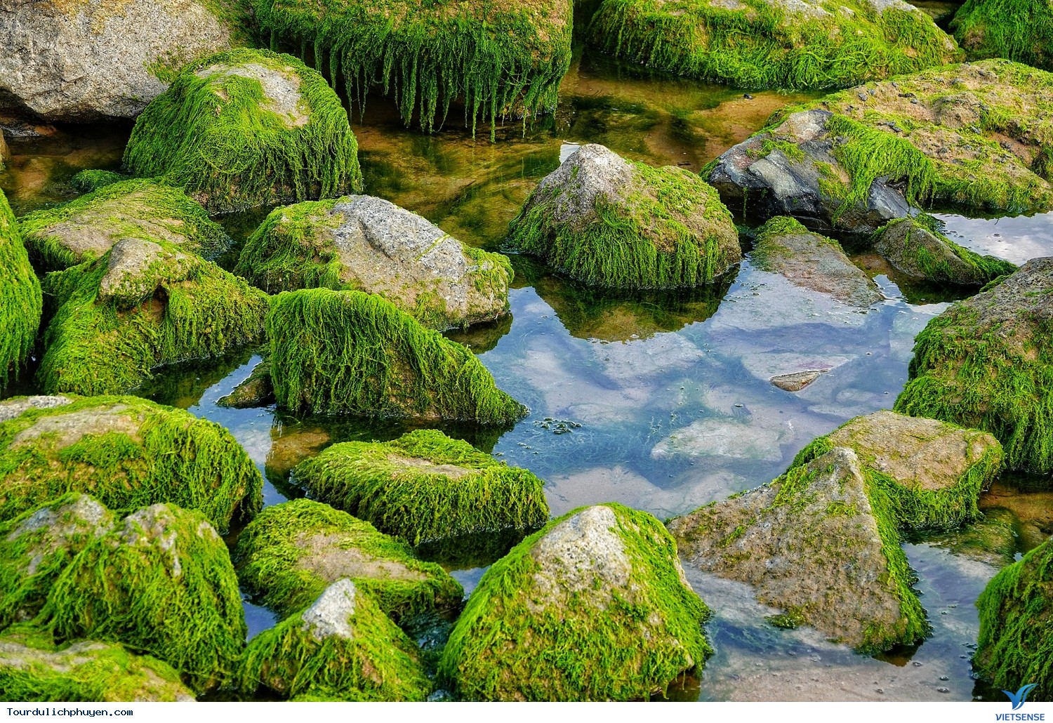 Thời gian nào đi Xóm Rớ là đẹp nhất? - Ảnh 2