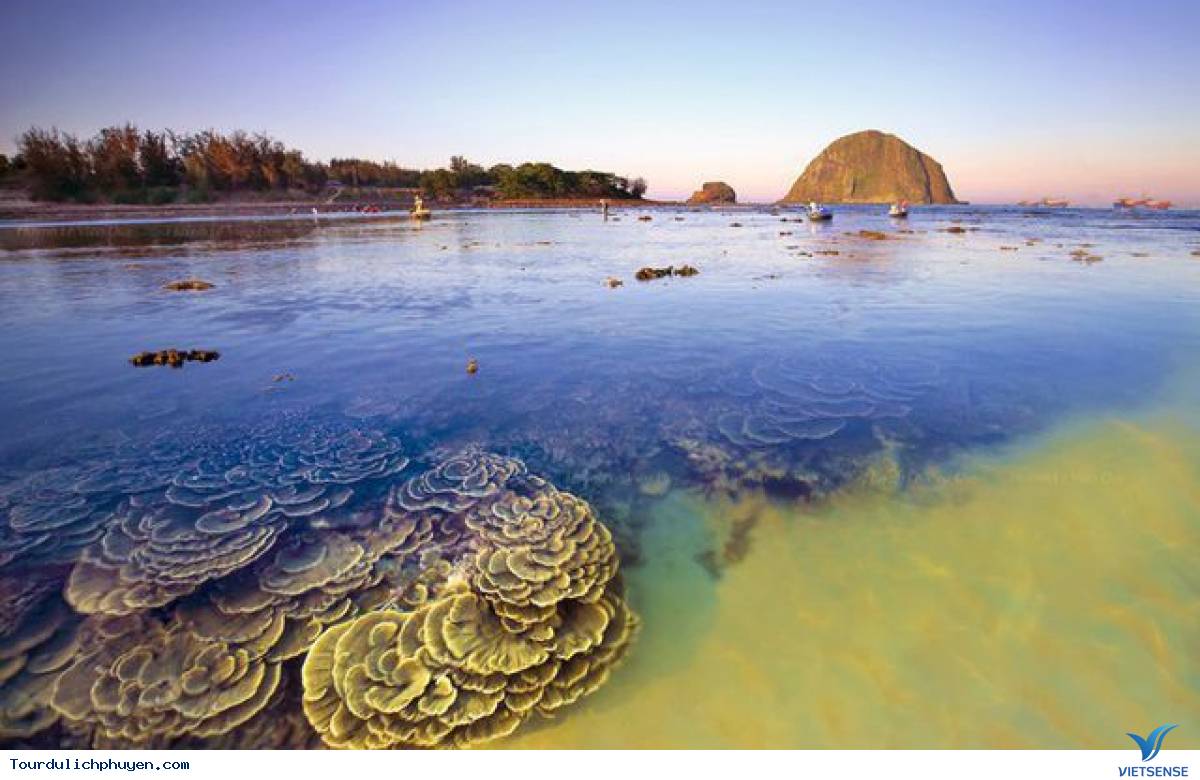 Tổng quan về Phú Yên Tổng quan về Phú Yên