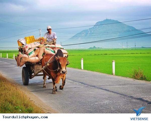 Trải Nghiệm Du Lịch Phú Yên Chưa Bao Giờ Dễ Dàng Như Thế