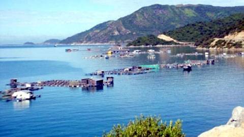 UBND Tỉnh Phú Yên Hỗ Trợ Phát Triển Sản Phẩm hành trình Đặc Thù - Ảnh 3