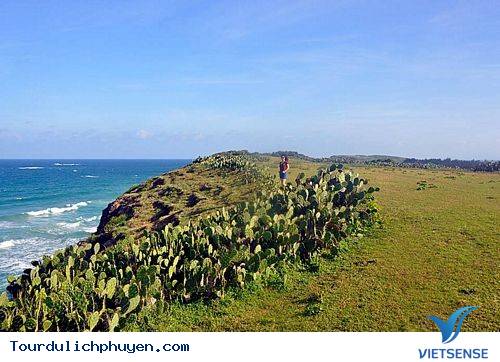 Và Tôi Đã Cảm Nắng Phú Yên Từ Cái Nhìn Đầu Tiên - Ảnh 5 Và Tôi Đã Cảm Nắng Phú Yên Từ Cái Nhìn Đầu Tiên - Ảnh 5