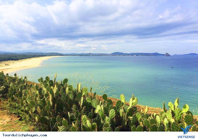 Vẻ đẹp của bãi xép Phú Yên - Ảnh 2 Vẻ đẹp của bãi xép Phú Yên - Ảnh 2