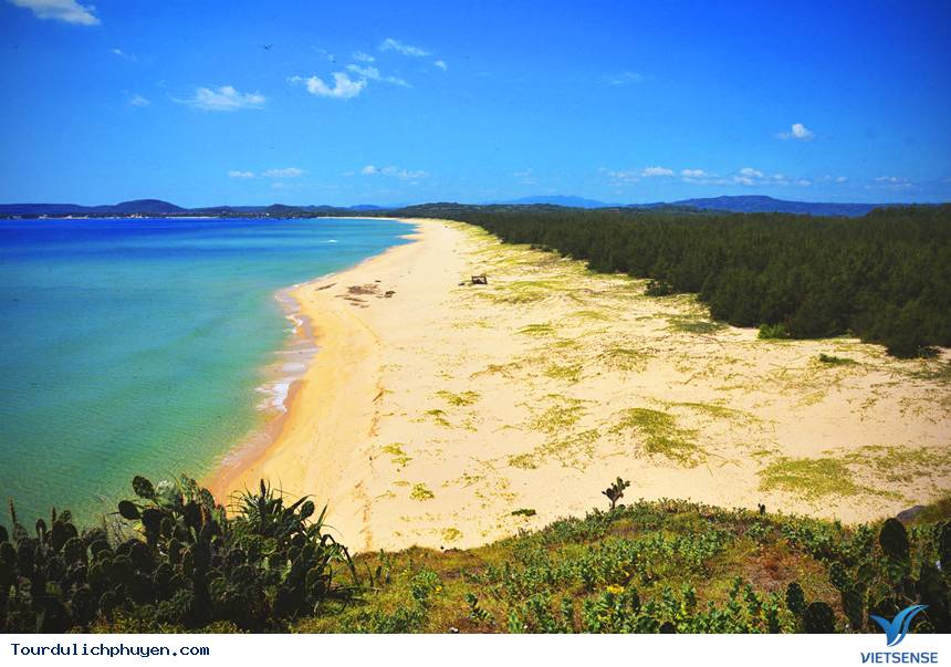 Vẻ đẹp của bãi xép Phú Yên - Ảnh 3 Vẻ đẹp của bãi xép Phú Yên - Ảnh 3