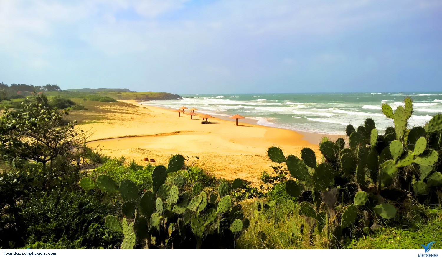 Vẻ đẹp của bãi xép Phú Yên - Ảnh 7 Vẻ đẹp của bãi xép Phú Yên - Ảnh 7