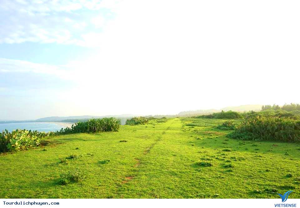 Vẻ đẹp của bãi xép Phú Yên - Ảnh 8 Vẻ đẹp của bãi xép Phú Yên - Ảnh 8