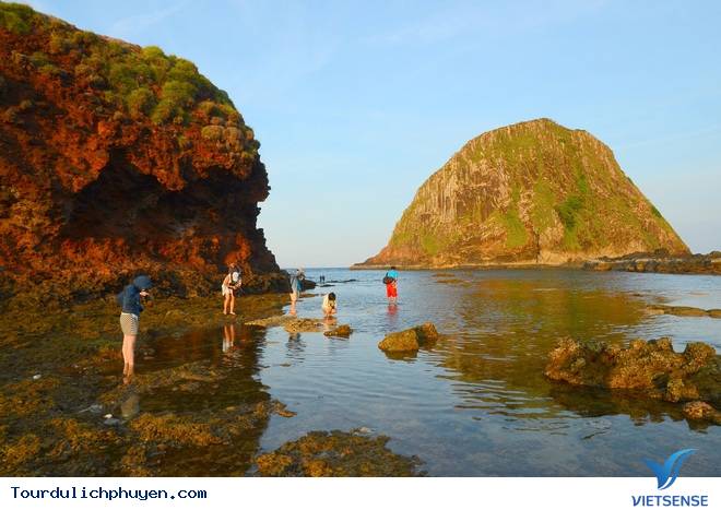 Vẻ Đẹp Dung Dị Vùng Biển Hòn Yến Phú Yên - Ảnh 4