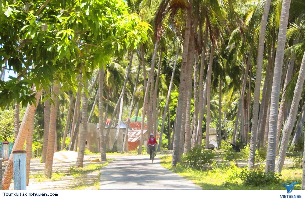 Vịnh Xuân Đài - Ảnh 6